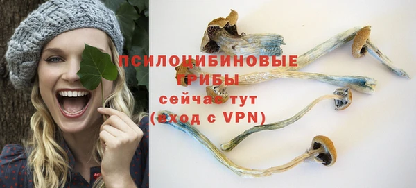 индика Балабаново