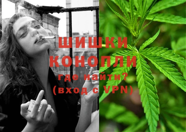 индика Балабаново