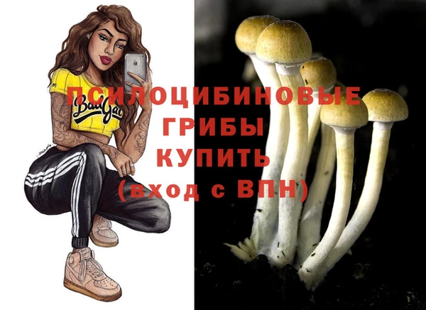 индика Балабаново