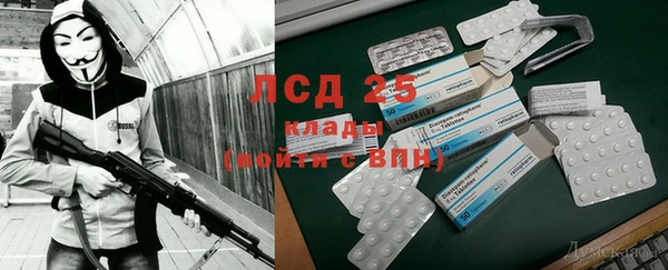 индика Балабаново