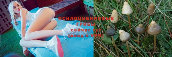 каннабис Баксан