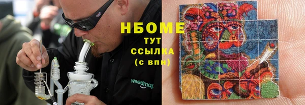 индика Балабаново