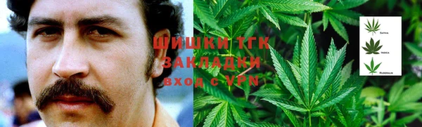 индика Балабаново